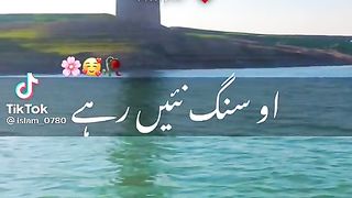 Very good  gazel enjoy