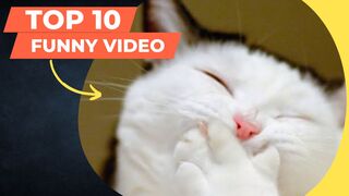 || Ultimate Funny Animal Compilation || Most Viral on the Internet ||Part 1✅????????????