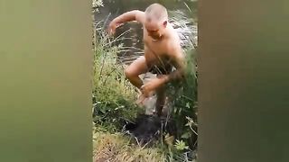 Best drunk people fails