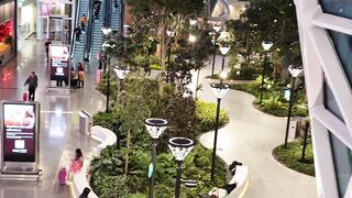 Qatar Airport beauty love to visit ????????