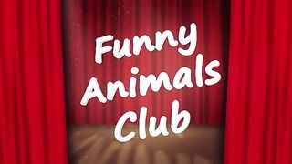 Funny Animal Videos 2023 ???? - Funniest Dogs And Cats Videos ????????