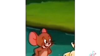 Funny videos