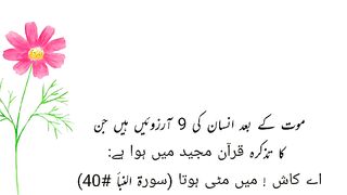 Moat k bad insan ki9 Khawahishon