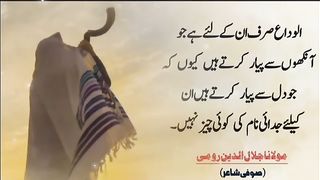 Molana romi nest