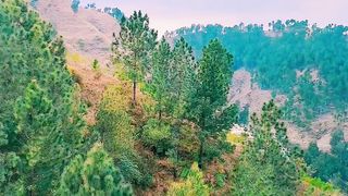 My beautyfull village