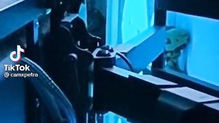 Ps4 remote play
