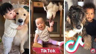 Dogs And Babies Are Best Friends ???? Funny TikTok Dogs ???? Cutest Babies