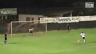 Zap soccer
