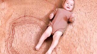 Funny Cat Videos | Funny Viral Clips | Most popular Funny Clips