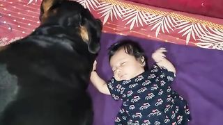 Jerry and Aaru are made for each other | Dog protecting baby | earn money online |