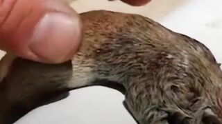 feling best video scen