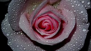 Hindi Urdu Quotes About Life lBeautiful Collections Urdu Quotes l Amazing Quotes khoobsoorat zindagi
