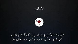 heart touching and amazing urdu quotes collection life chaing quotes  achi batein |urdu hindi quotes