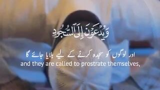 ﴿ سورة القلم: ٤٢-٤٥ ﴾ ????️ إسلام صبحي