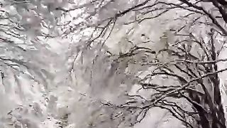 Zakham jo dil ne khaye hain