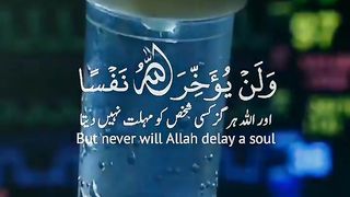 Very nice tilawt e Quran e pak with translation