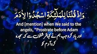 Very nice tilawt e Quran e pak with translation