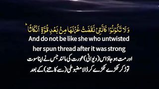 Beautiful Tilawt e Quran e pak with translation