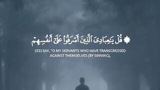 Tilawt e Quran e pak with translation