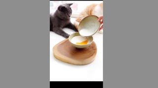 cute video