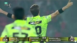 Shaheen Afridi 5 wickets