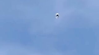 Kabutar amazing landing