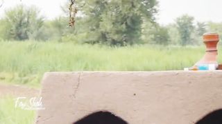 Beauty Of Village Life