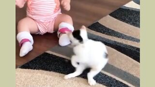 Funny, Cute & Wonderful Action