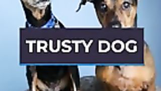 TRUSTY DOG: #shorts #video