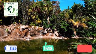 Nature ???????????????? beautiful places ????️ #waterfall# forest #landscape