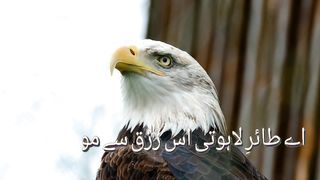Iqbal poetry 2023