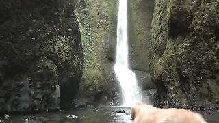 Beautiful scene relaxing video