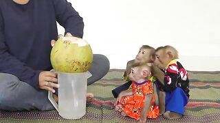 Today Mom Offer Feeding Healthy Drink For Queen Bom's Mitt & Milly After Lunch