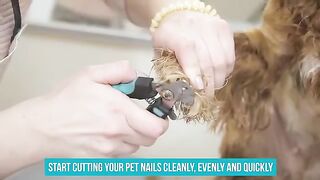 Candure Dog Nail Clippers Professional Pet Nail Clipper