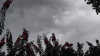 Tu he mukadar ha