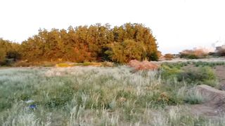 Peaceful nature view