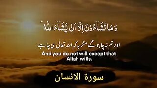 Very nice tilawt Qari Abdul wheed fani