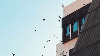 KSA Makka Videos