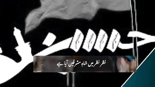 لبیک یا حسیں