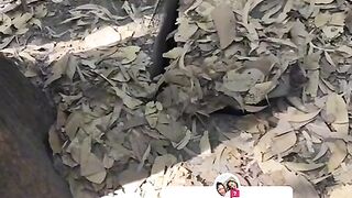 Heart touching