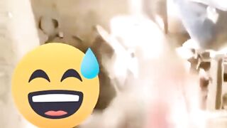 Bast funny ???? video