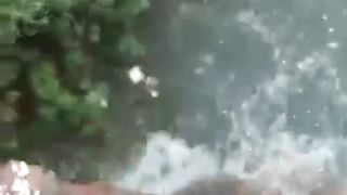 Funny shorts video ????????????