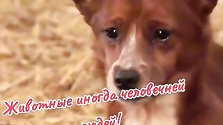 ЛЮБОВТА НЯМА ИЗМЕРЕНИЯ