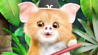 Cute cat