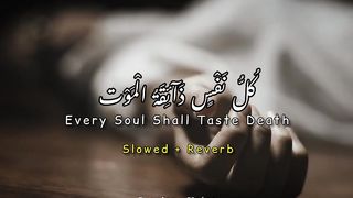 Beautiful Recitation of Holy Quran ||Abdul Rehman Mossad