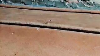 cate video