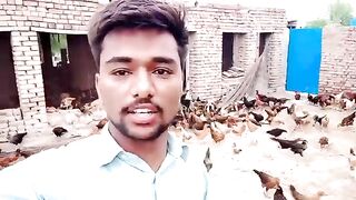 full_ready_golden