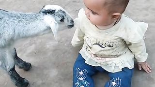 Beautiful scene