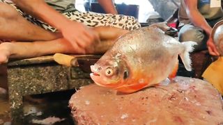 Gaint fish cutting
