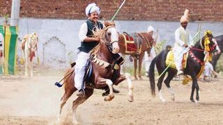 #Horses Riding part 20#jhamra#darbar#kaly#shah